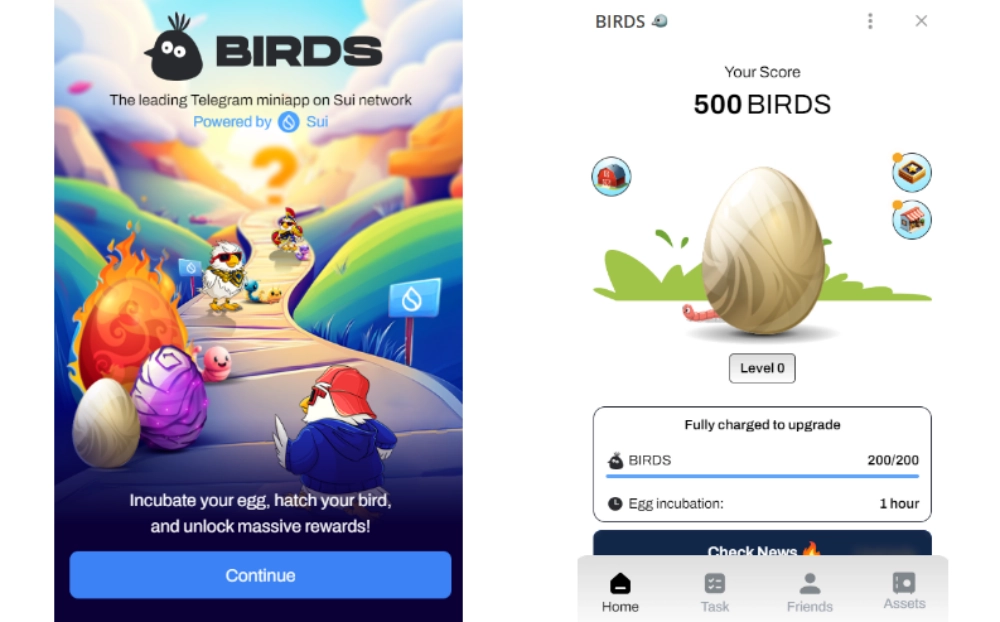 BIRDS là gì? Hướng dẫn săn airdrop dự án được chính chủ SUI shill